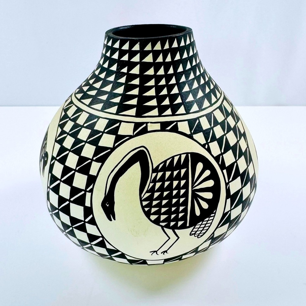 Hand Painted Gourd Art Vase Black White Geometric Bird Southwestern AMAZING Art